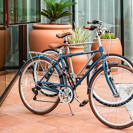 Hotel Alsace LA